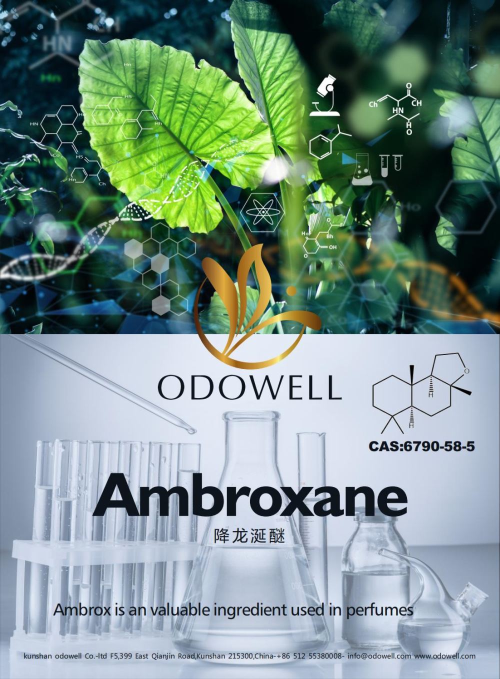 Gochy Celebrates a Successful Year for Ambroxane (Ambrox)