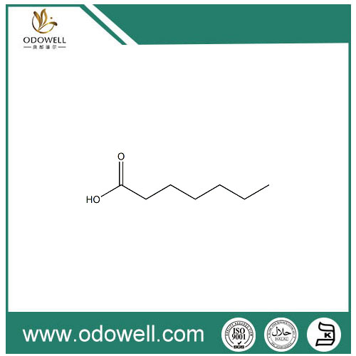 Heptanoic Acid