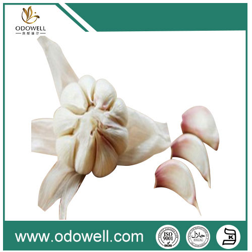 Garlic Oil