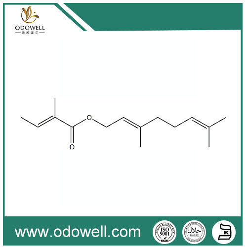 Geranium Oil