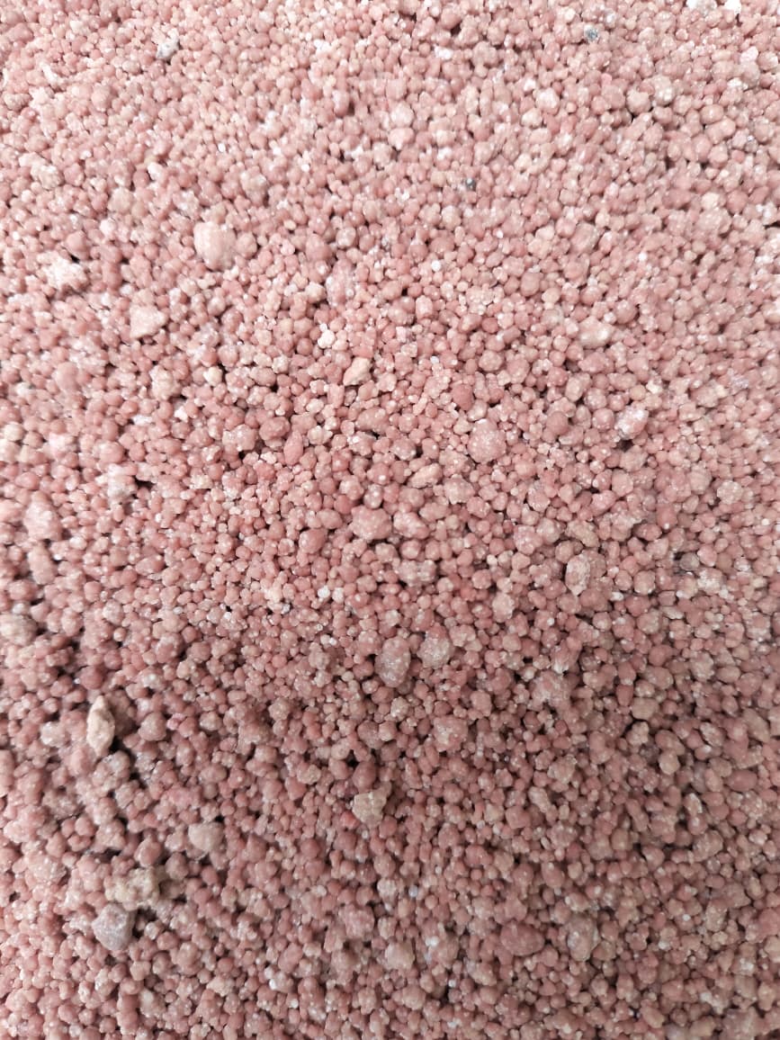 Bharat NPK 10 : 26 : 26 (SPIC NPK 10 : 26 : 26)