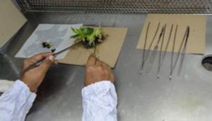 Laminar Air Flow Bench