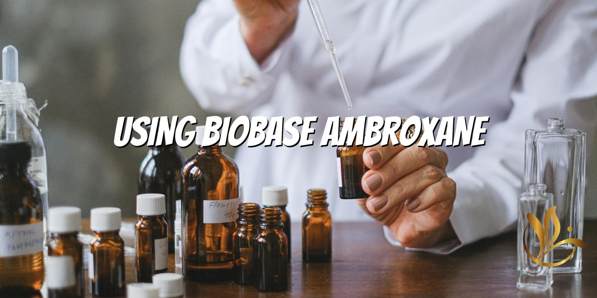 Mastering Ambrox – A Perfume's Guide to Timeless Creations