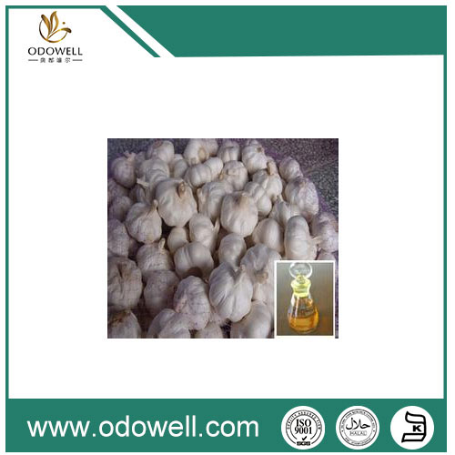 Garlic Oil