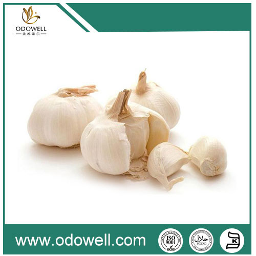 100% Natural Garlic Oil